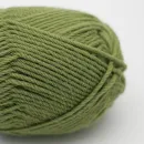 Vesterhavet Green051